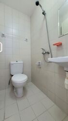 Water Place (D15), Condominium #554524651